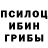 Галлюциногенные грибы Psilocybine cubensis noseka