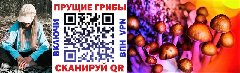 ОМГ ОМГ ТОР  Среднеуральск  Галлюциногенные грибы Psilocybe  где купить наркотик 