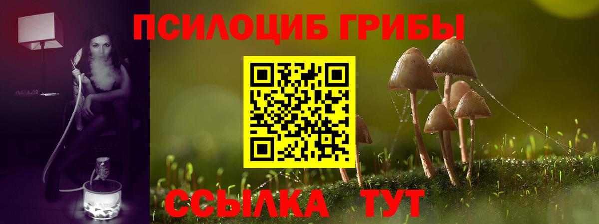 Галлюциногенные грибы Psilocybine cubensis  сколько стоит  Среднеуральск  Вход с VPN 